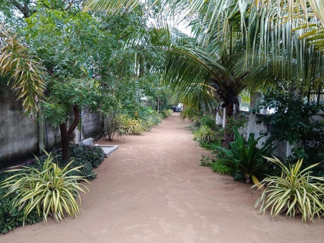 Elegant Green Beach Resort 亭可马里 外观 照片