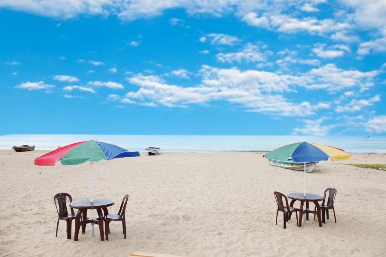 Elegant Green Beach Resort 亭可马里 外观 照片