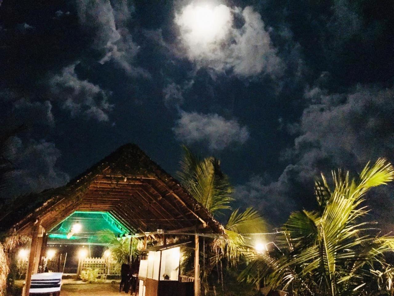 Elegant Green Beach Resort 亭可马里 外观 照片